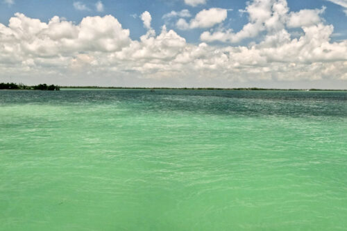 Crystal-clear emerald water in Gasparilla Sound, Florida, showing natural color changes caused by shallow sand flats and deeper channels.