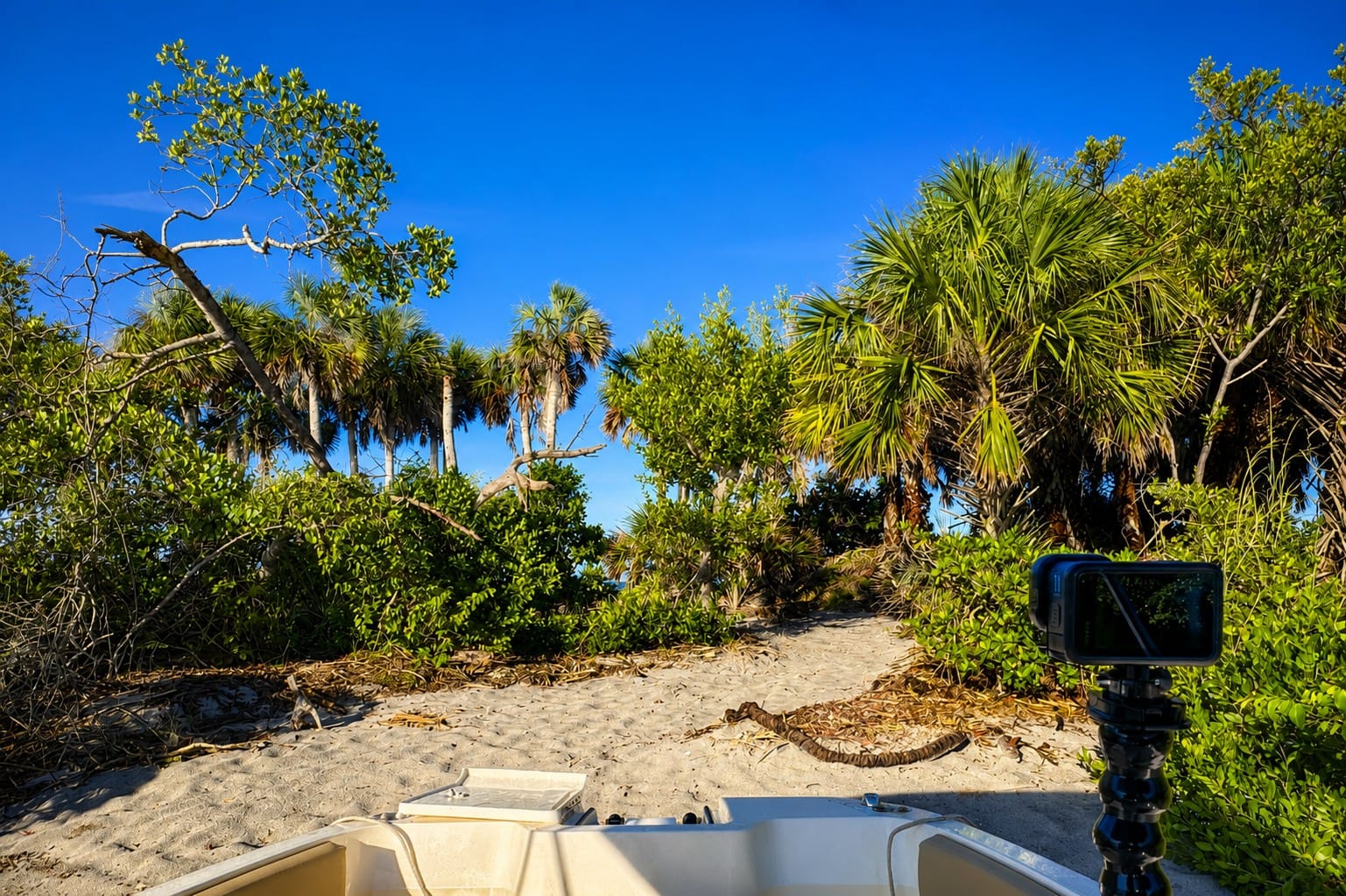 Private boat landing at a hidden beach on a Southwest Florida barrier island