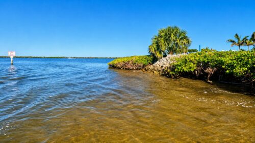 View from Jug Creek looking toward Back Bay in Bokeelia, Florida, with mangroves, palm trees, and calm coastal waters.