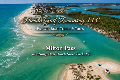 Aerial view of Milton Pass at Stump Pass Beach State Park, showing the Gulf of Mexico, the newly formed inlet, sandbars, and the surrounding barrier island landscape in Southwest Florida.