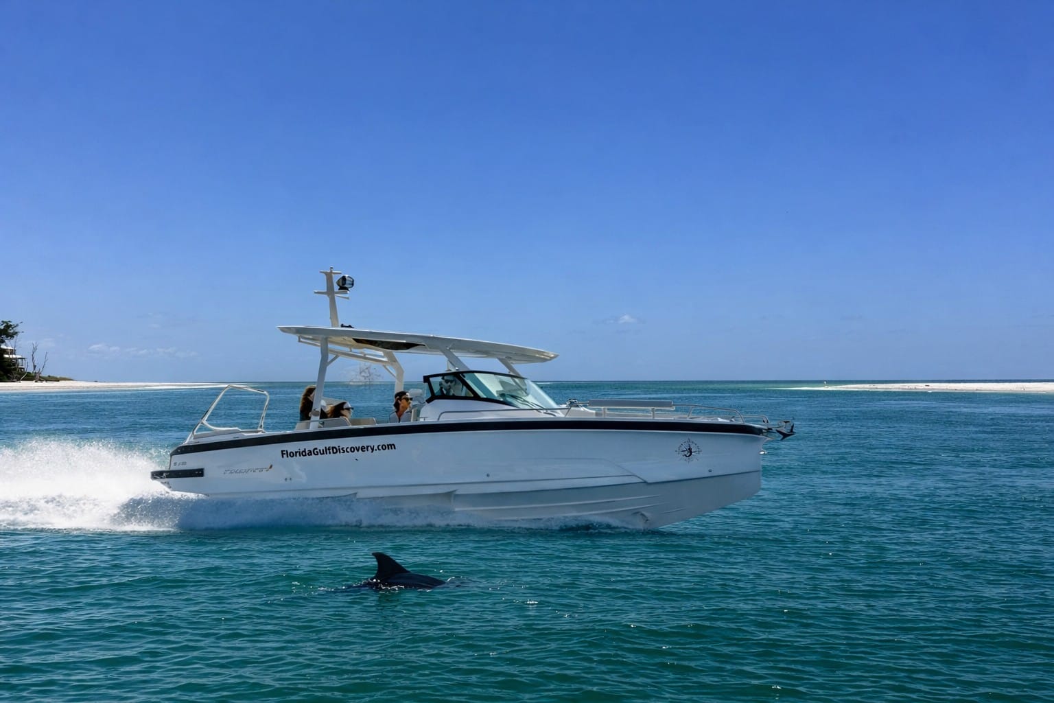 Dolphin swimming alongside a private boat tour near Stump Pass in Southwest Florida