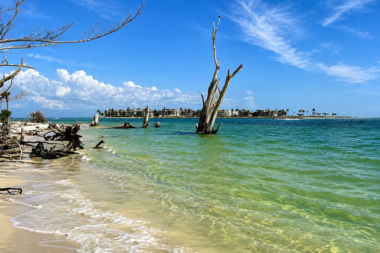 Driftwood along the shoreline of Redfish Pass on North Captiva Island, Southwest Florida