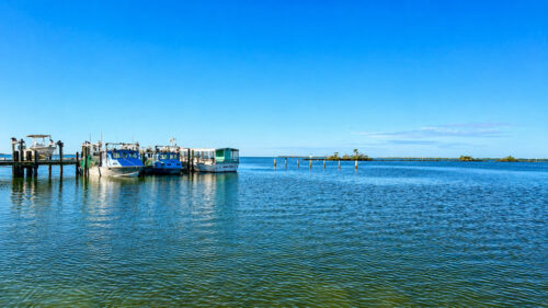 Boats docked at Safe Harbor Pineland Marina overlooking Wilson Cut and Pine Island Sound in Southwest Florida.