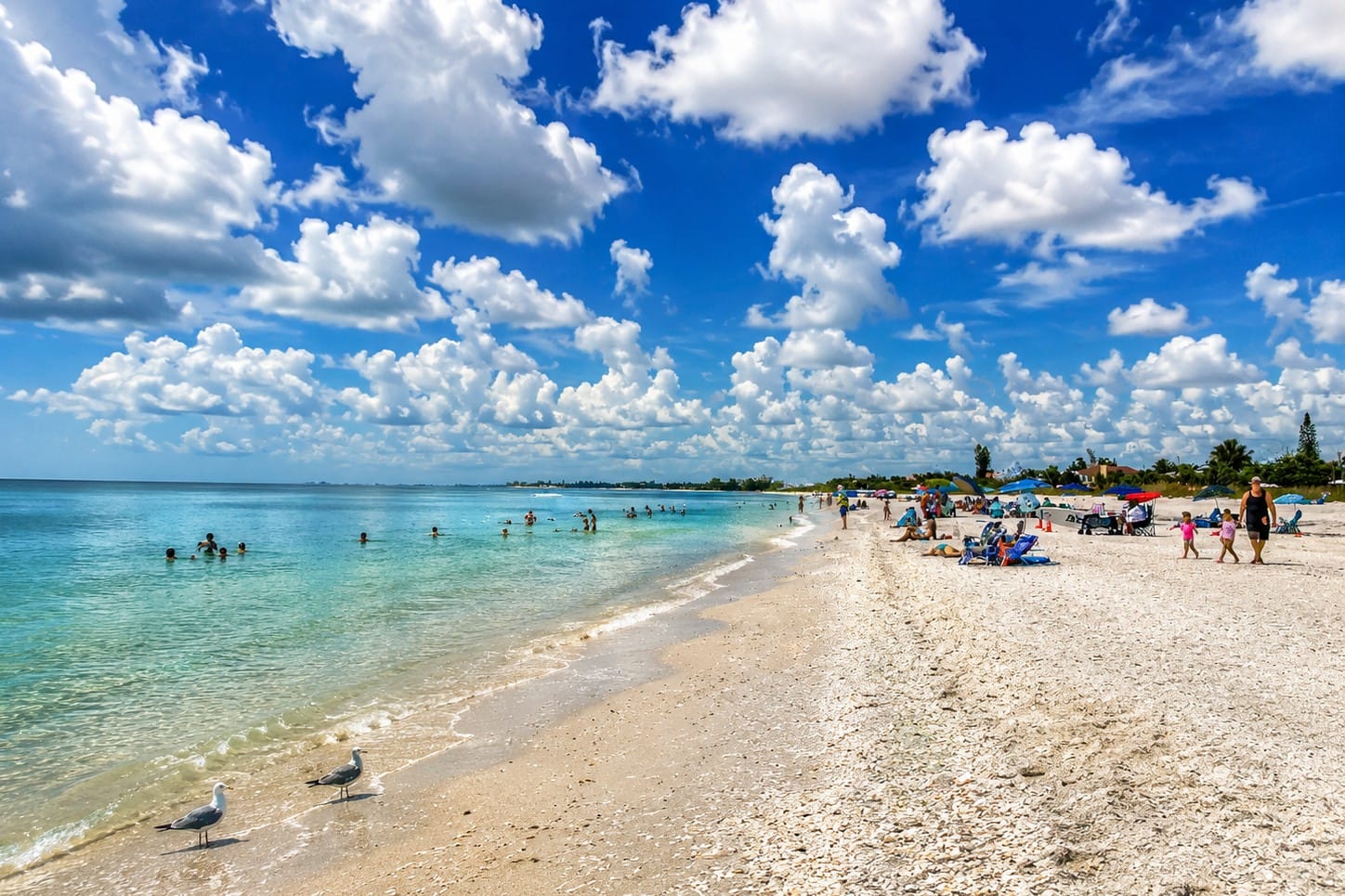 Sunny summer day at Venice Beach with white sand and turquoise Gulf waters in Venice, Florida
