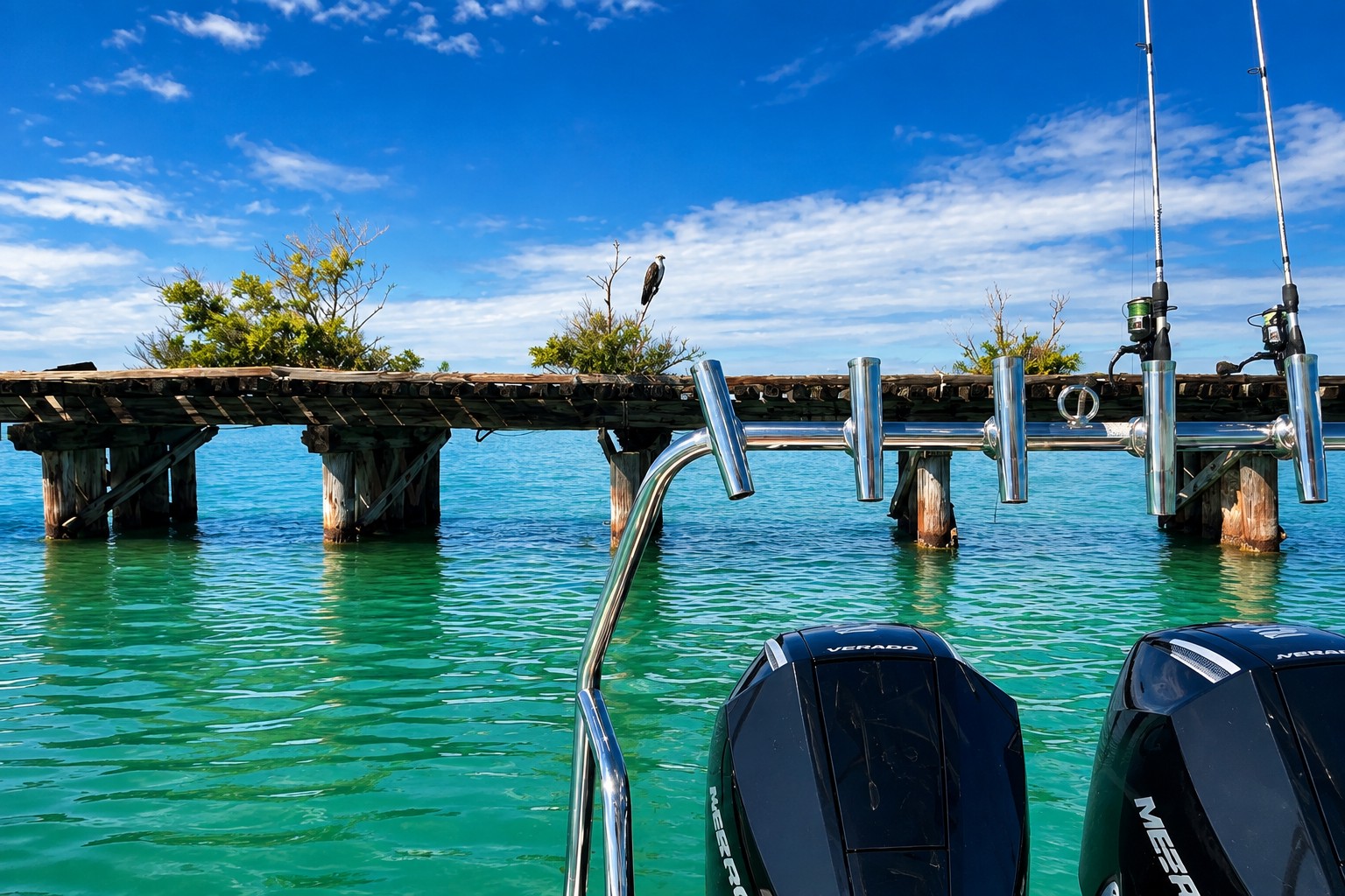 Osprey at the historic Boca Grande Trestle during a private boat tour near Placida Florida