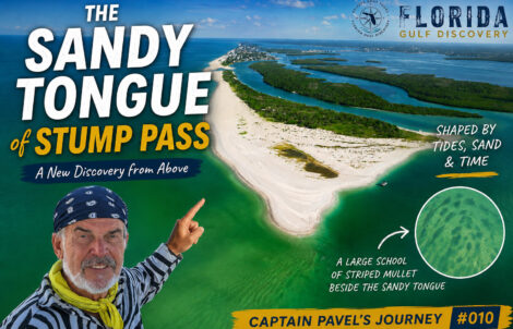 Captain Pavel overlooking the Sandy Tongue of Stump Pass with a large school of striped mullet visible in the shallow water.