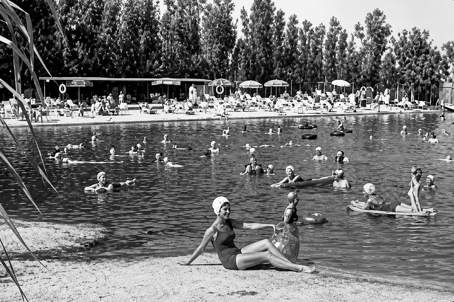 Visitors swimming in Warm Mineral Springs, North Port, Florida, in 1955